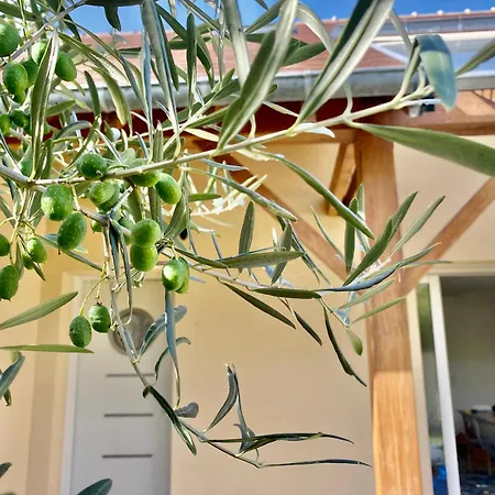 Maison Mer&jardin Riva-bella *