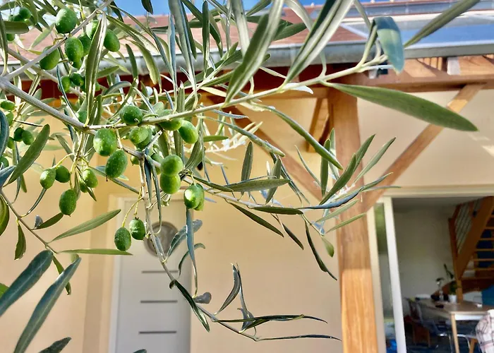 Maison Mer&jardin Riva-bella *